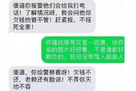 海西为什么选择专业追讨公司来处理您的债务纠纷？